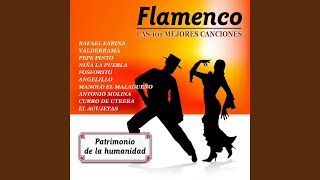A Una Mujer Conoci