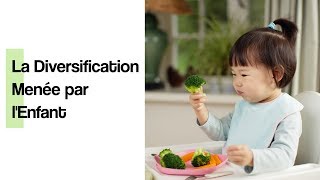 La diversification alimentaire menée par l’enfant
