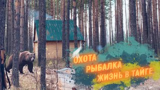 Тайга.  Охота и рыбалка.  Жизнь в тайге.  Сибирь