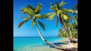 CALMA - VAMOS PA LA PLAYA - TRADUÇÃO/LEGENDADO