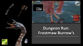 Guild Wars FROSTMAW'S BURROWS Dungeon Farm