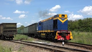 Маневровый тепловоз ТГМ6А-1438