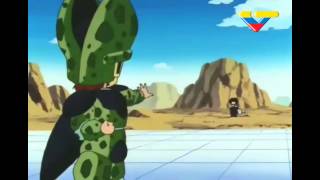 La verdad de Mr. Satán y Cell