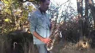 Someone to watch over me-Robert Kyle-Solo Sax