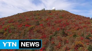 가을옷 갈아입은 설악산...첫 단풍 시작 / YTN