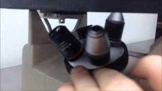 Nikon TMS Microscope