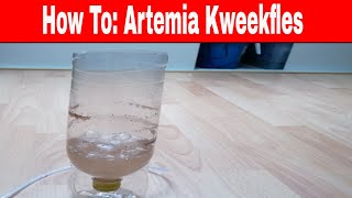 How To: Artemia kweekfles maken