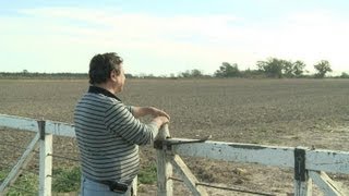 Le soja a changé le visage de l'Argentine