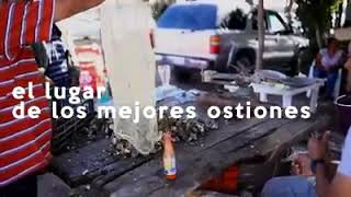 LA CAPITAL MUNDIAL DEL OSTIÓN EN EL MUNICIPIO DE SANTIAGO IXCUINTLA