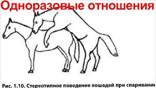 Одноразовый секс. Стоит ли мужчине заводить длительные серьезные отношения с женщинами