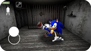 Aenh encuentra a Sonic en Granny - Aenh - Granny