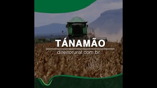 TÁNAMÃO - ARRENDAMENTO RURAL