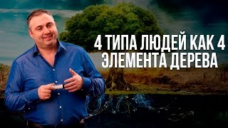 4 типа людей как 4 элемента дерева - корни, ствол, ветки и листья