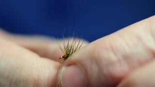 Olive Snatcher New HD Video 2020