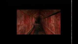 Silent Hill: Origins Any% speedrun - 39:28