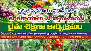 Farmer Training on Natural Farming - Bopaya, Vegetable Cultivation || Rythunestham Foundation