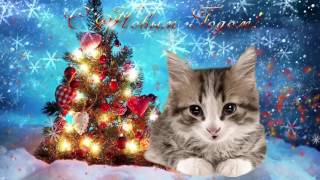 Поздравление С Новым Годом от кошки #1