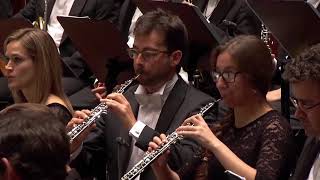 Bartok Concerto for orchestra, Bassoon, Oboe solo