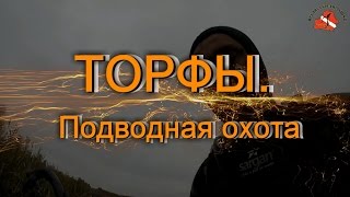 ТОРФЫ.  Подводная охота.