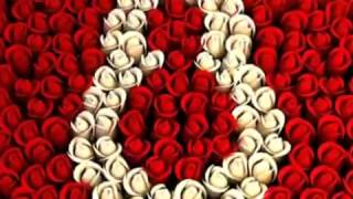 8 Наурыз мерекесі
