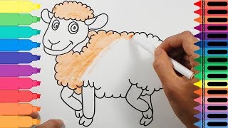 How to draw sheep - Coloring Pages Sheep for baby - How to Draw animals for kids | Tanimated Toys