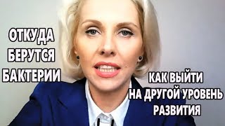 Как позитивно мыслить?  Этапы развития человека  Откуда берутся бактерии