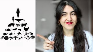 Los humanos están en la cima de la cadena alimentaria