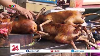 Dễ hay khó việc từ bỏ ăn thịt chó? | VTV24