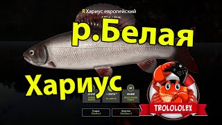 Русская рыбалка 4  Хариус европейский  Река белая фарм  Russian fishing 4
