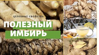 Польза и вред имбиря. Как лечиться и не навредить?