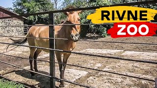 Зоопарк г. Ривне - один из лучших в Украине