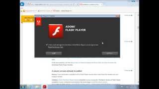 How to update your flash player