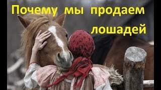 Почему мы продаём лошадей?