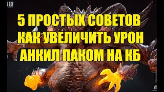 5 Советов как повысить урон анкил паку в Raid