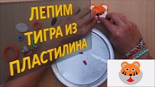 Лепим ТИГРА из пластилина| Лепка животных из пластилина