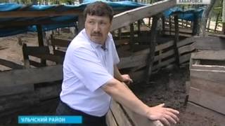 Вести-Хабаровск. Универсальный бизнесмен из села Киселёвка