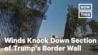 Winds Knock Down Section of Trump's Border Wall | NowThis