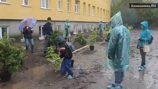 Пассажиры теплохода "А. Радищев" и волонтеры высадили деревья у поликлиники им Л И Захаровой