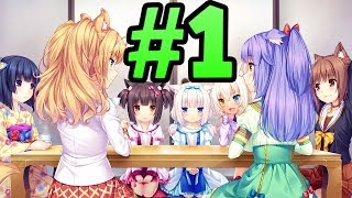 Nekopara Extra - Part 1 | 4K | TINY BABY KITTENS TIME SO KAWAII!