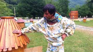 Как делают бортный мед в Абхазии. Рассказ пасечника