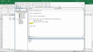 Excel VBA: Immediate Window - 5 Ways to Use it