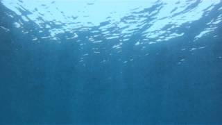 Σφυριδα 3400 Κορινθιακος-Tσαβαλος Αρης