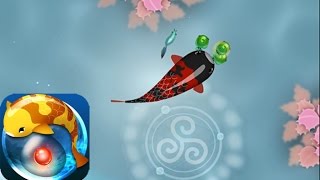 Zen Koi - A Tranquil Aquatic Journey (Gameplay ios/Android)