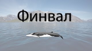 Русская Рыбалка 3.99 Финвал