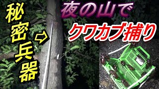 皆！！夏の山は凄いぞ！！【クワガタ・カブトムシ】　の巻