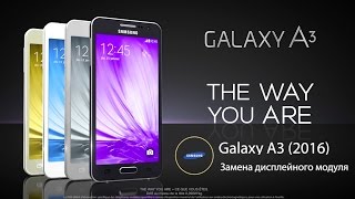 Замена дисплейного модуля (экрана) Samsung A310F Galaxy A3 (2016)