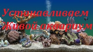 Устанавливаем заставку живой аквариум.