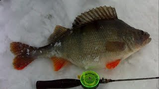РЫБАЛКА НА КРУПНОГО ОКУНЯ И ГИГАНТСКУЮ ПЛОТВУ . Ice fishing