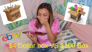 $4 vs 100 Ebay Mystery Box