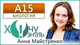 A15 по Биологии Демоверсия ЕГЭ 2013 Видеоурок